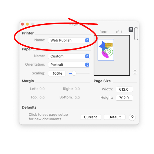 EazyDraw Page Setup Printer